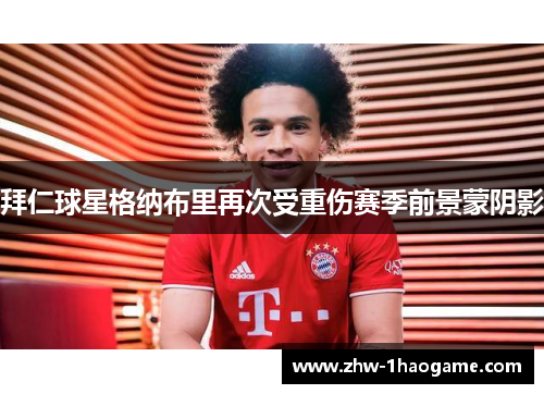 拜仁球星格纳布里再次受重伤赛季前景蒙阴影